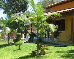 dicas de jardinagem e paisagismo
