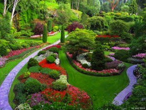 dicas de jardinagem e paisagismo