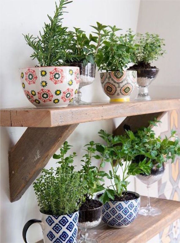 Plantas e flores na cozinha