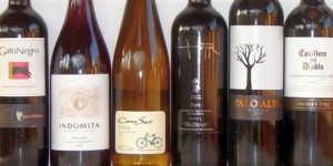 vinhos chilenos 1