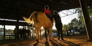equaterapia