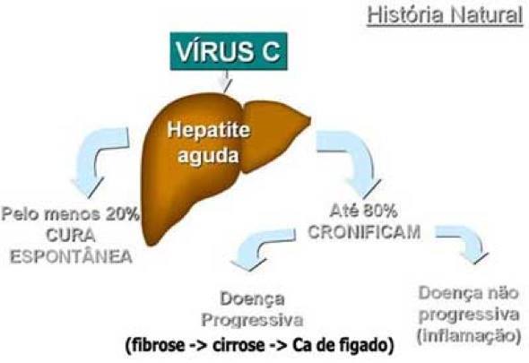 2-cura para hepatite c