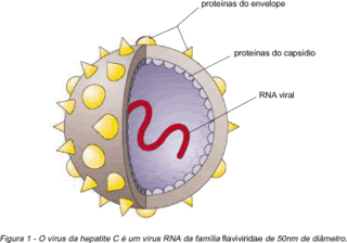 curar-hepatite-c