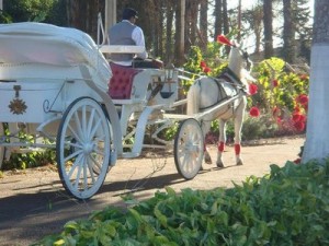 Casamento em sítio carruagem