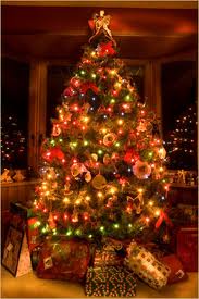 Montar uma Árvore de Natal 2012