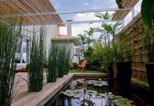 Como fazer um jardim aquático em casa