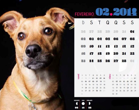Calendário 2014 fevereiro 004 Calendário 2014 fevereiro 004