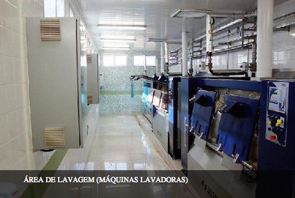 Grifort Lavanderia1 Grifort Lavanderia1