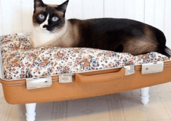 4-Como_criar_uma_cama_para_gatos_