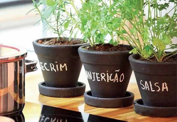 Dicas para montar uma boa horta em casa 001