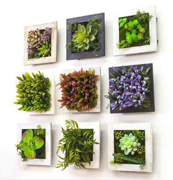 fazer-quadros-de-plantas-para-decorar-015