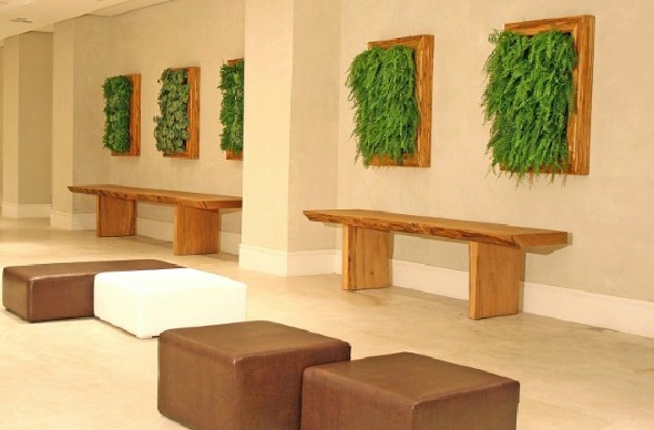 fazer-quadros-de-plantas-para-decorar-016