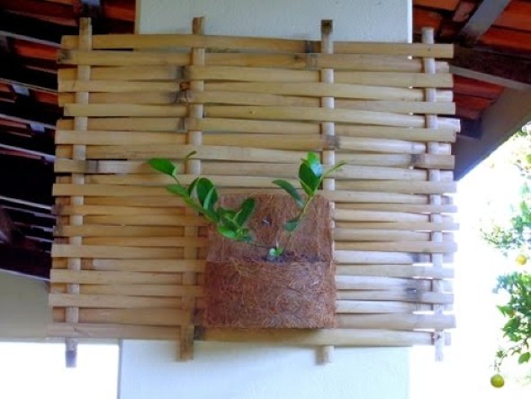 Enfeite sua casa com o charme do bambu 010