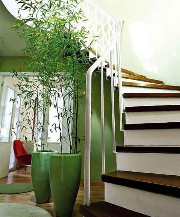 Enfeite sua casa com o charme do bambu 017
