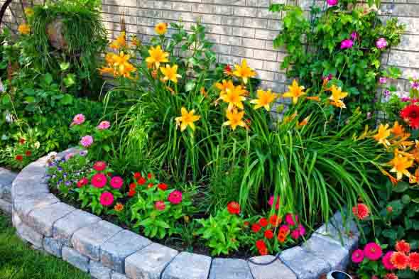 Canteiro de flores criativo para varanda e jardim