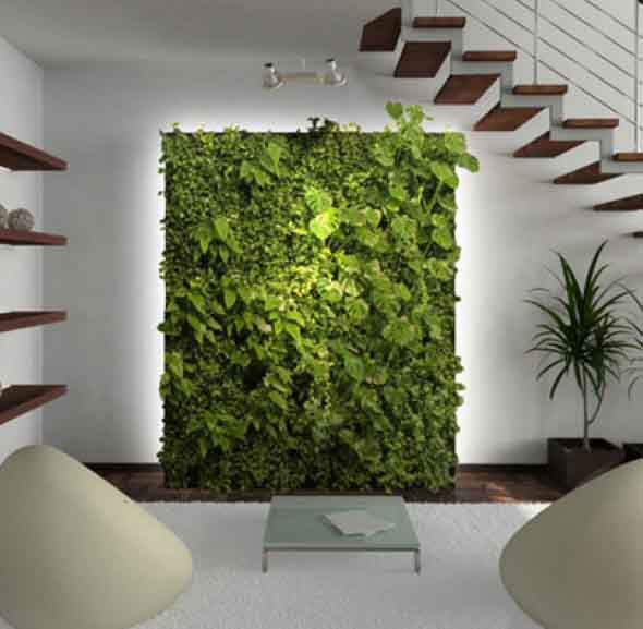 Onde colocar plantas dentro de casa 014