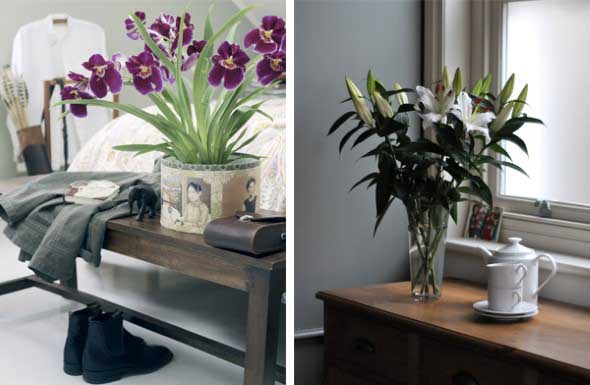 Vasinhos de flores e plantas para enfeitar a casa 004