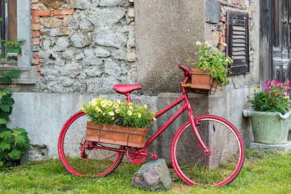 Bicicleta em casa 014