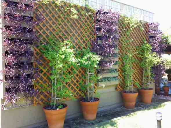 Jardim vertical com treliças pela casa 004
