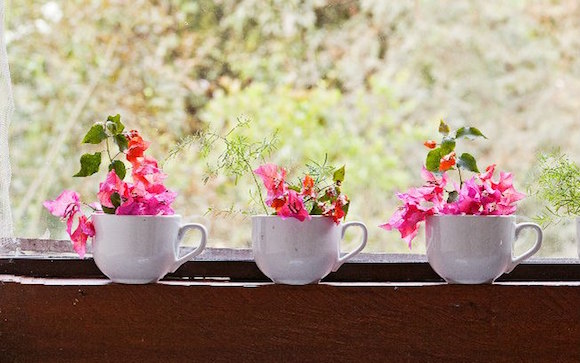 plantas na cozinha 5