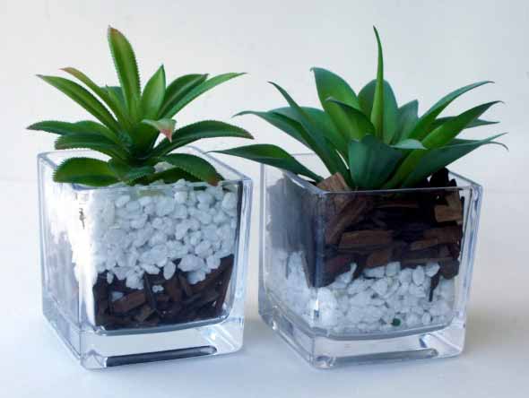Vasos de plantas quadrados na decoração 001