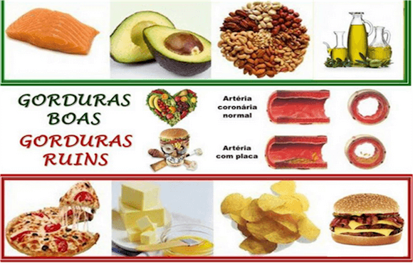 Gorduras boas e ruins