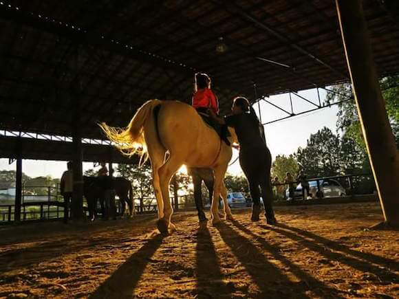 equaterapia