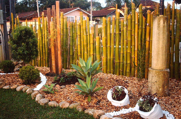 bambu 6